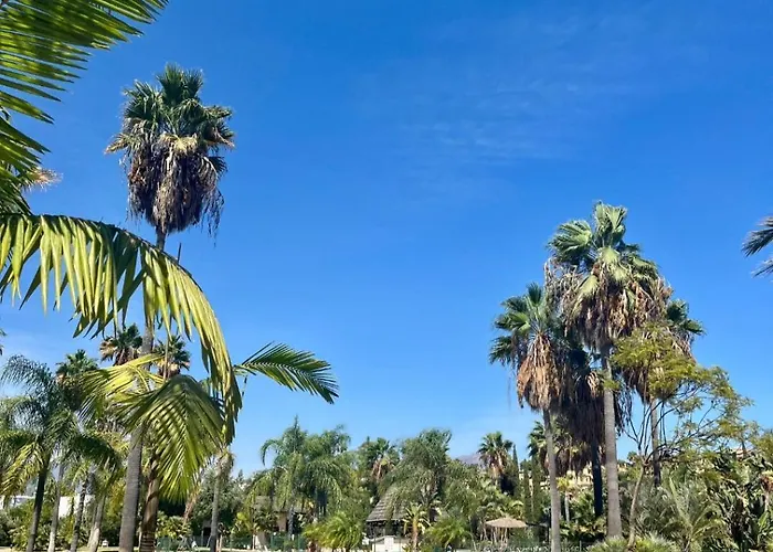 Penthouse With Private Solarium - Pool & Free Parking Apartment *